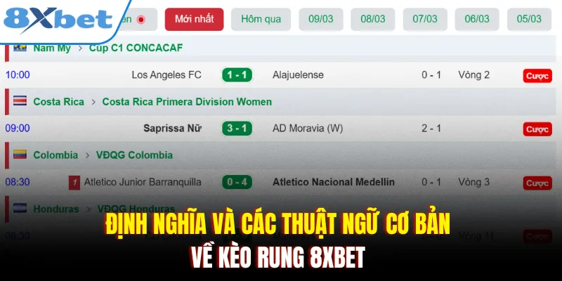 Định nghĩa và các thuật ngữ cơ bản về kèo rung 8xbet 